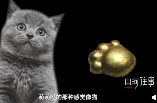 山西垣曲北白鹅墓地出土5件猫爪形金饰