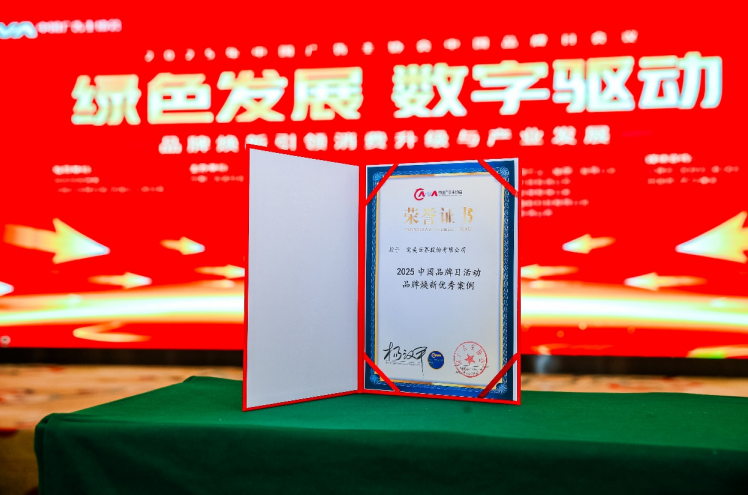 完美世界荣获2025中国品牌日活动“品牌焕新优秀案例”